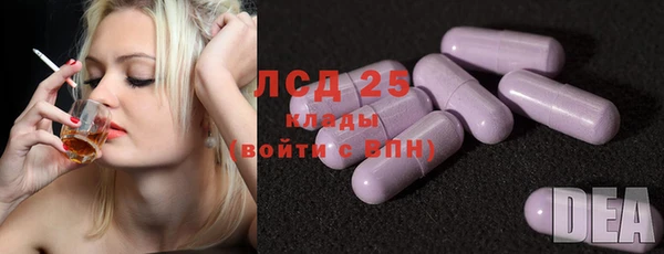 соль ск Новодвинск