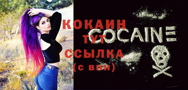 соль ск Новодвинск