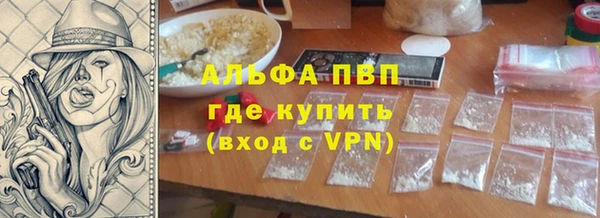 соль ск Новодвинск