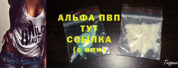 ECSTASY Новокубанск