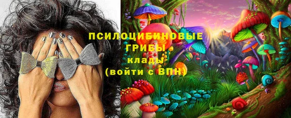соль ск Новодвинск