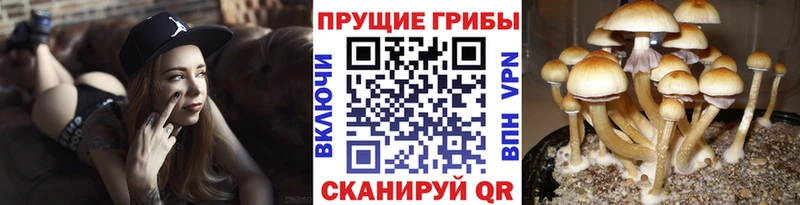 Псилоцибиновые грибы мухоморы  Инза 